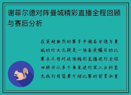 谢菲尔德对阵曼城精彩直播全程回顾与赛后分析